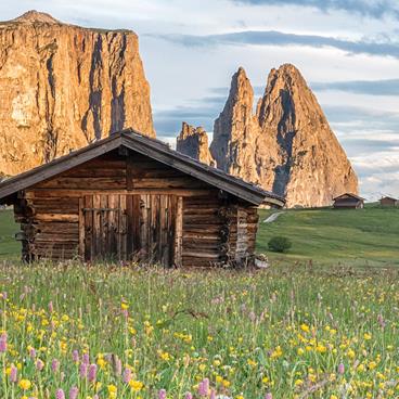 blumenwanderung-seiser-alm-marketing-manfred-kostner-2