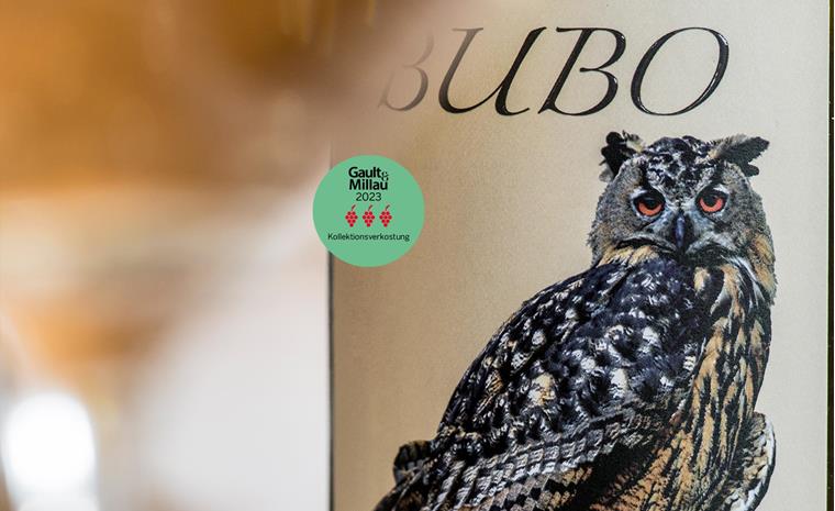 bubo